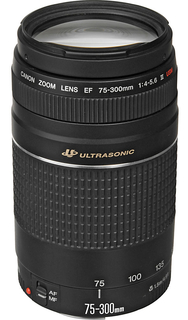 Объектив Canon EF 75-300 mm f/ 4-5.6 III USM