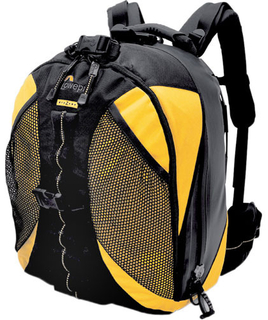 Рюкзак Lowepro DZ200 Dryzone Backpack желтый