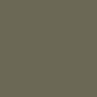 Фон бумажный 2,72 x 10м Falcon Eyes BackDrop хаки (10) Фон бумажный 2,72 x 10м Falcon Eyes BackDrop хаки (10)