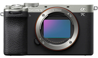 Цифровой фотоаппарат SONY Alpha A7C MII body Silver