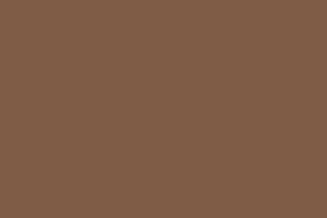Фон бумажный 2,72 х11м Colorama Peat Brown (LL CO180)