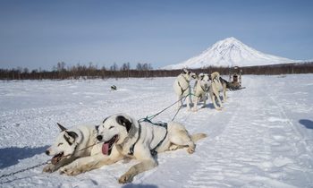 Зимняя фотосъемка. Как сделать её приятной и безопасной